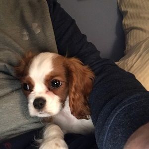 Meet your Posher, Lynelle